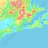 Topografisk kort Dunedin, højde, terræn