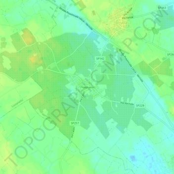 Topografisk kort Pisignano, højde, terræn