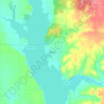 Topografisk kort Salina, højde, terræn