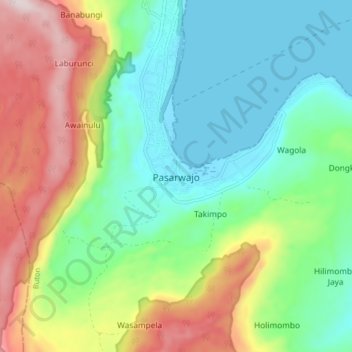 Topografisk kort Pasarwajo, højde, terræn
