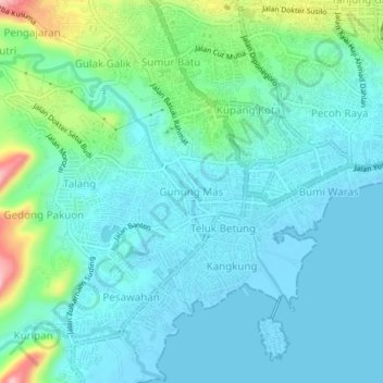 Topografisk kort Gunung Mas, højde, terræn