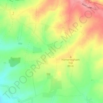 Topografisk kort Low Hameringham, højde, terræn