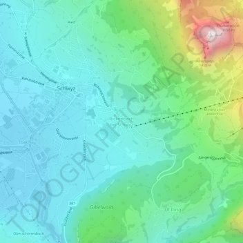 Topografisk kort Rickenbach, højde, terræn