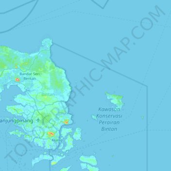 Topografisk kort Nikoi Island, højde, terræn