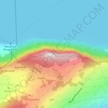 Topografisk kort Bürgenstock, højde, terræn