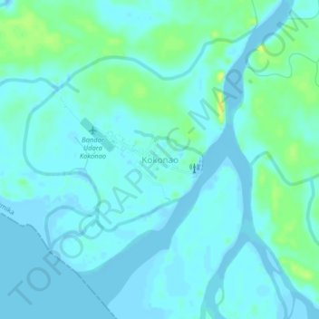 Topografisk kort Kokonao, højde, terræn