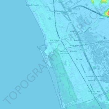 Topografisk kort Viareggio, højde, terræn